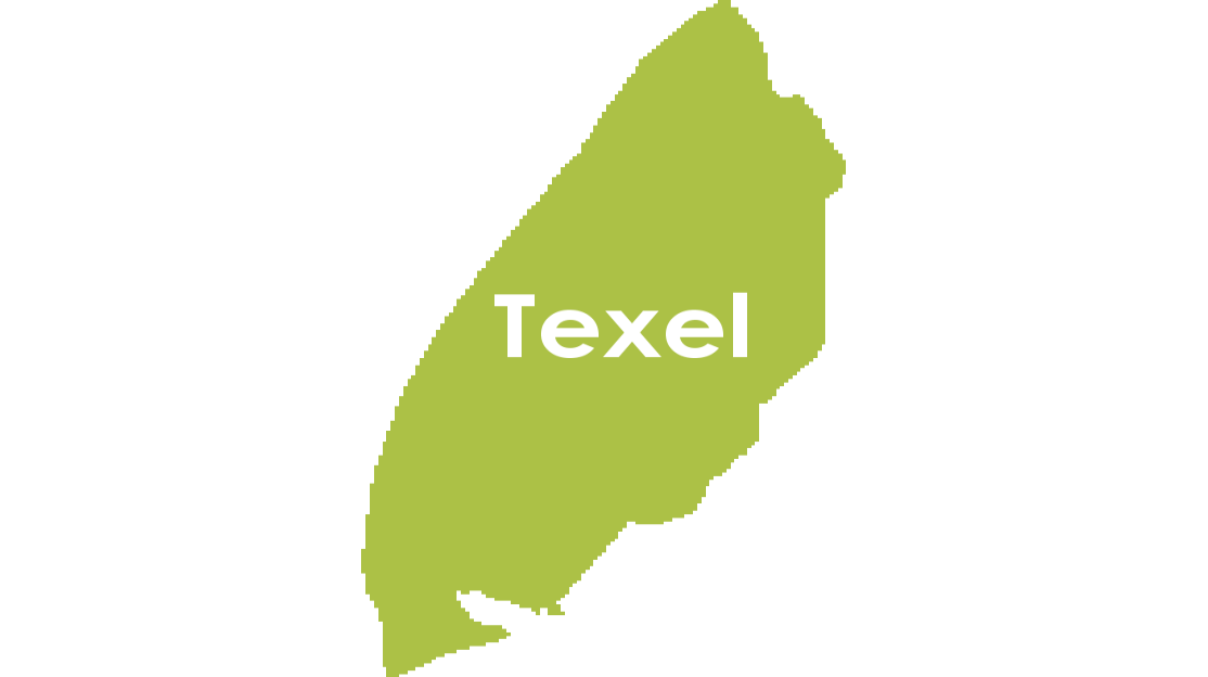 Texel