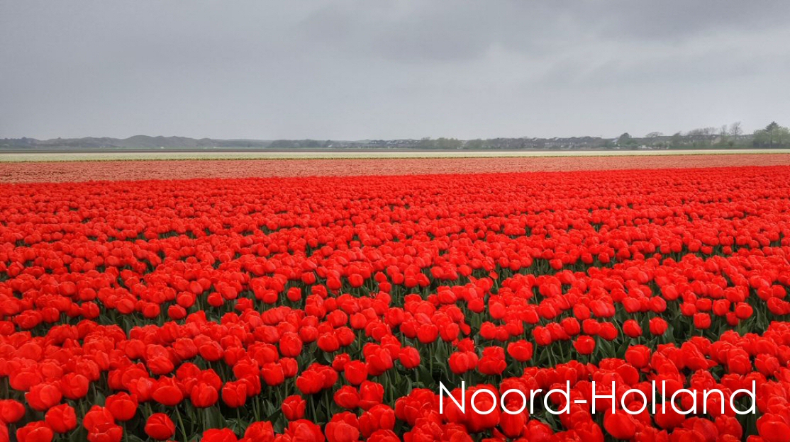 Noord-Holland