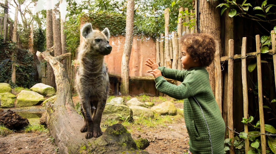 Amersfoort Dierenpark Promotievideo1